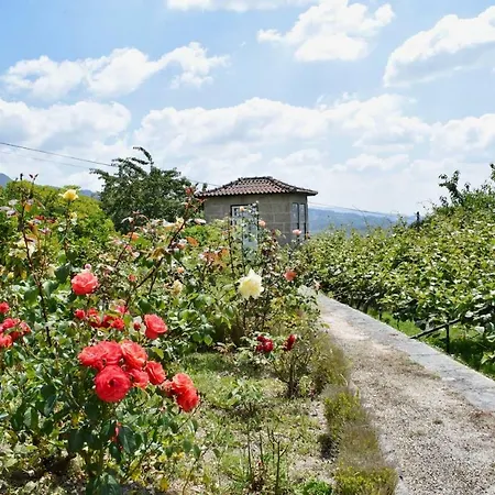Guestready - Casa Do Carvalhal Em Amarante